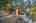 Blurred preview of media: 1-30