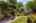 Blurred preview of media: 1-8