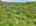 Blurred preview of media: DJI_20260604125814_0407_D_8_D_9_D_easyHDR
