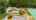Blurred preview of media: riverglen-40