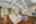 Blurred preview of media: DSC01728