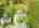Blurred preview of media: 1-826-0933