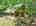 Blurred preview of media: DJI_20260608135500_0476_D_7_D_8_D_easyHDR