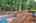 Blurred preview of media: IMG_4568_69_70_easyHDR