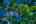 Blurred preview of media: 4Sept0018