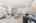 Blurred preview of media: Nerine_054
