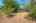 Blurred preview of media: 27
