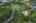 Blurred preview of media: iPixx_11_31