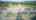 Blurred preview of media: z-39