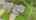 Blurred preview of media: DJI_20261001114136_0800_D