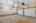 Blurred preview of media: 1-826-2389