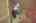 Blurred preview of media: IMG_5153_4_5
