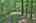 Blurred preview of media: 9zzv