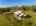Blurred preview of media: 817 Brill Road Aerial LRCF-13