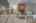 Blurred preview of media: 07
