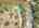 Blurred preview of media: 334 N Pine Meadows Rd - 73
