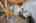 Blurred preview of media: IMG_8861_2_3