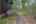 Blurred preview of media: PAX_1912