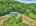 Blurred preview of media: DJI_20260604124119_0298_D_19_0299_D_20_0300_D_easyHDR
