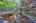 Blurred preview of media: IMG_4781_2_3_easyHDR