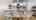 Blurred preview of media: 2-Daffodil-Drive-04112025_181233