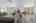 Blurred preview of media: B-11