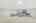 Blurred preview of media: 2bobwhite_015
