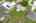 Blurred preview of media: iPixx_10_14