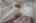 Blurred preview of media: 04