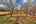 Blurred preview of media: IMG_8290_1_2_easyHDR