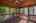 Blurred preview of media: Nerine_011