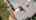 Blurred preview of media: DJI_0078