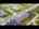 Blurred preview of media: Unknown media