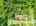Blurred preview of media: 2-926-