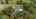 Blurred preview of media: 85208 Airplane Lane-84
