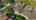 Blurred preview of media: DJI_0661