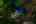 Blurred preview of media: 4Sept0071