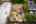 Blurred preview of media: 116 Severin Ave-123