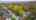 Blurred preview of media: 73