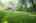 Blurred preview of media: 9 Foster Street Acton Massachusetts Job 39716 (Exteriors) 0003