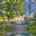 Blurred preview of media: oIMG_7555
