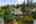 Blurred preview of media: 1-50