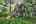 Blurred preview of media: IMG_3147_8_9_easyHDR