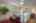 Blurred preview of media: 19