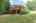 Blurred preview of media: DSC01209