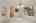 Blurred preview of media: DSC06799