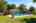 Blurred preview of media: 57
