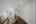 Blurred preview of media: DSC01432