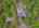 Blurred preview of media: 79-clark-road-wantage-nj-usa-drone-007