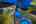 Blurred preview of media: www.sandiegophotography.info-181